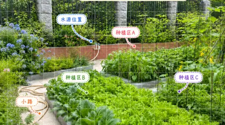 校园花园